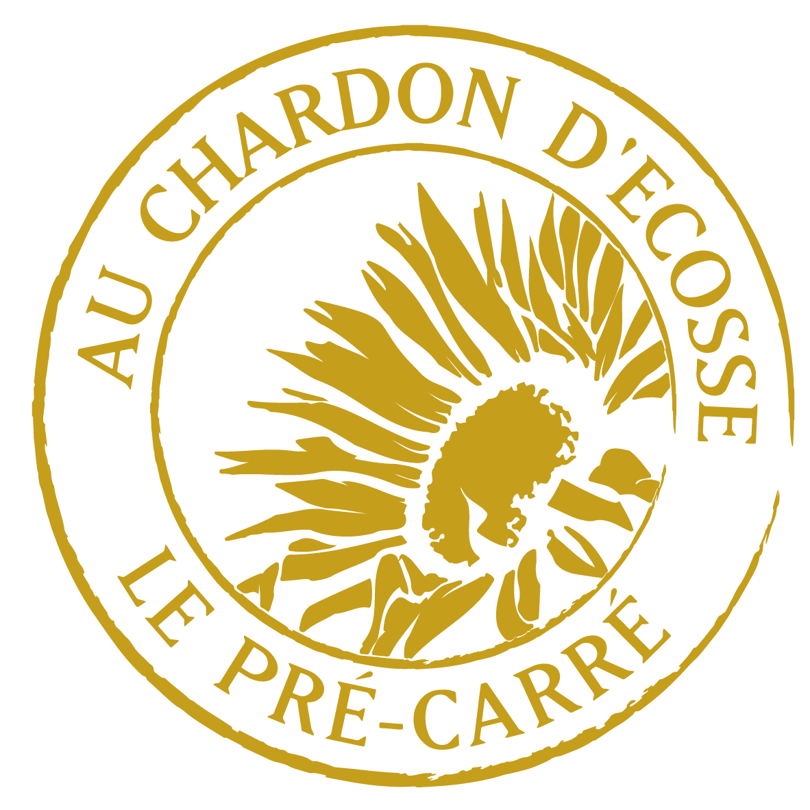 Le Chardon d'Écosse